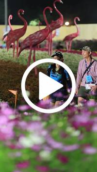 BIB:  <button type="button" onclick="openModal(27590024)" class="btn btn-primary btn-sm float-right" data-toggle="modal" data-target=".modal-high-quality">
                <i class="fa fa-download"></i> Download
                </button>